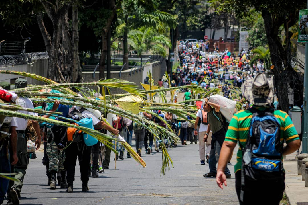 EN FOTOS: Palmeros de Chacao bajaron de El Ávila y dan inicio a la Semana Santa en Venezuela