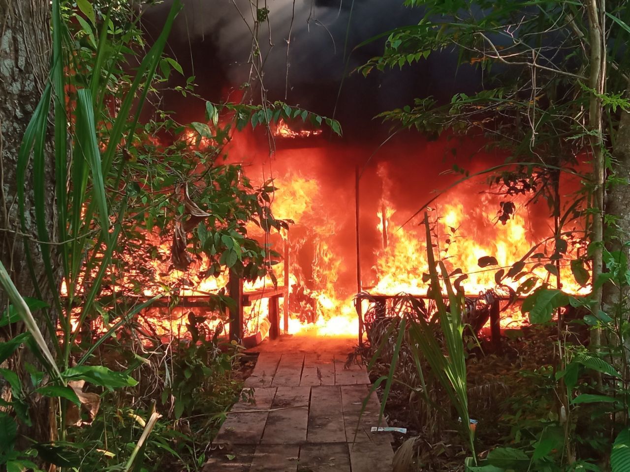 Fanb dice haber derribado campamento de supuestos terroristas colombianos en Apure