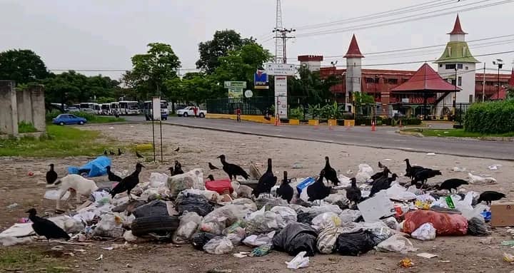 A la alcaldía chavista de Barinas se le “olvidó” recolectar la basura y los zamuros montan su festín