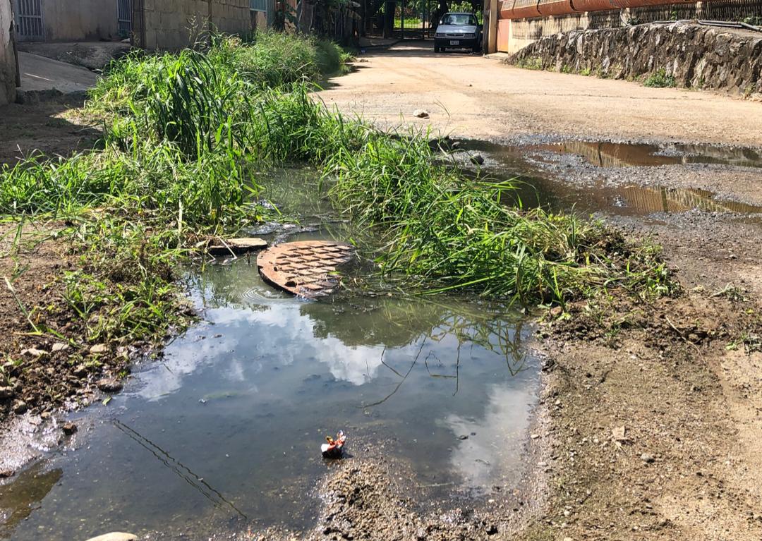 Alerta: Guárico se pierde en la hediondez y enferma a niños y abuelos (VIDEO)