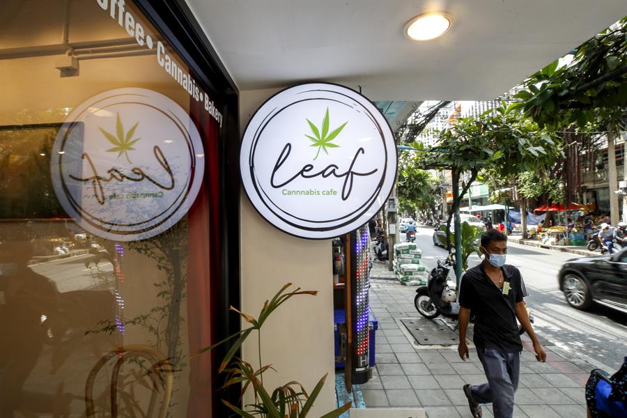 Tailandia prohíbe el consumo de cannabis en universidades tras legalizarlo