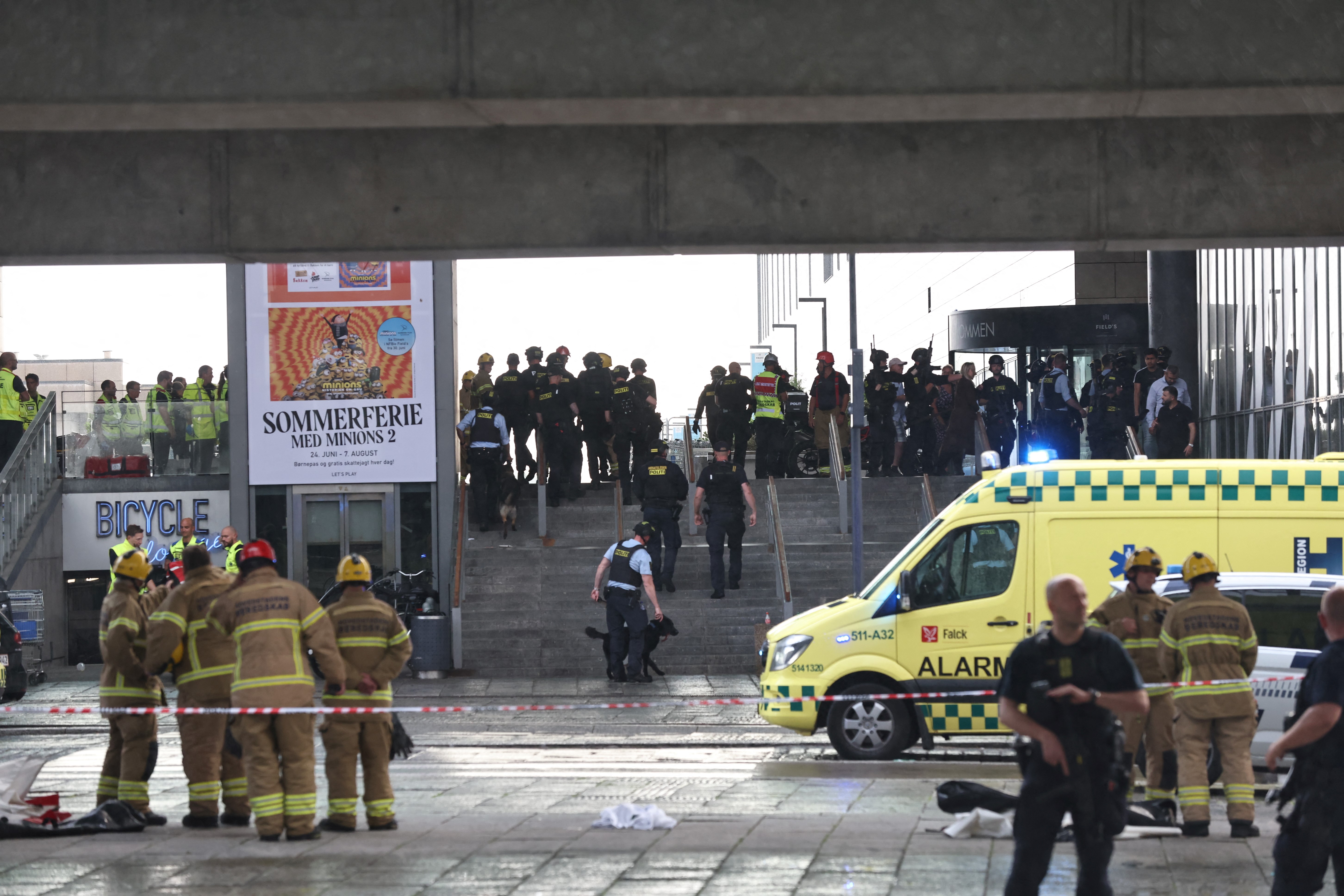 FOTOS del tirador responsable de la balacera en Copenhague, Dinamarca