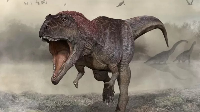 Por qué los Tyrannosaurus rex tenían los brazos pequeños: El hallazgo que aporta nuevos detalles