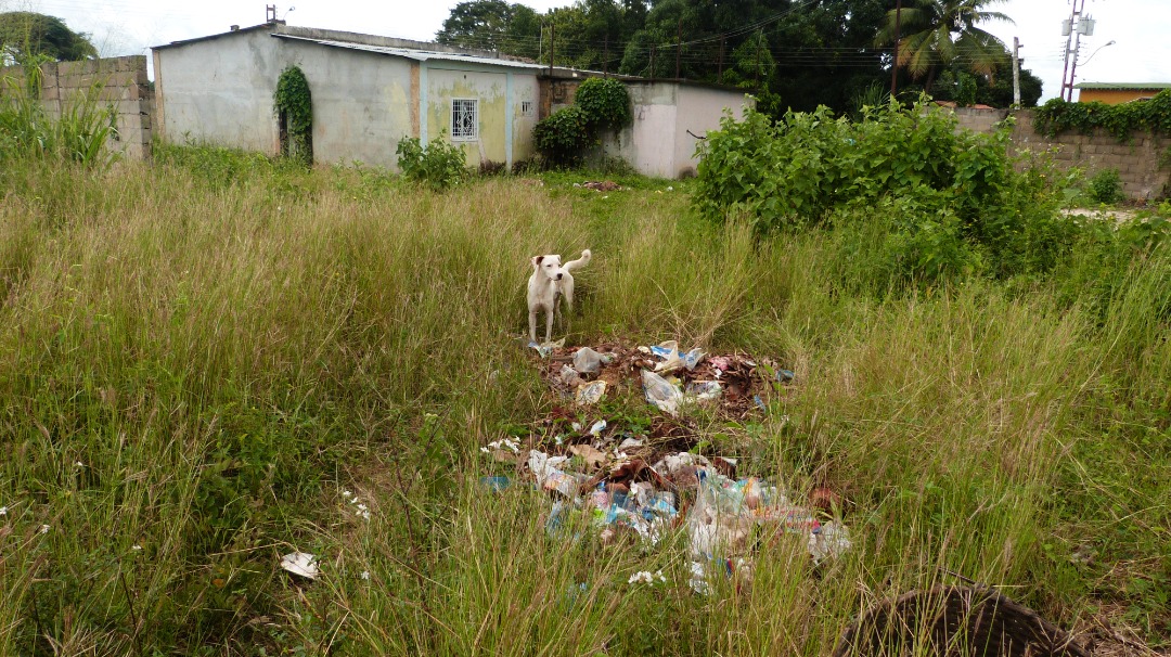 El chavismo se gasta miles de dólares en fiestas… y nada en resolver el problema de la basura en Monagas