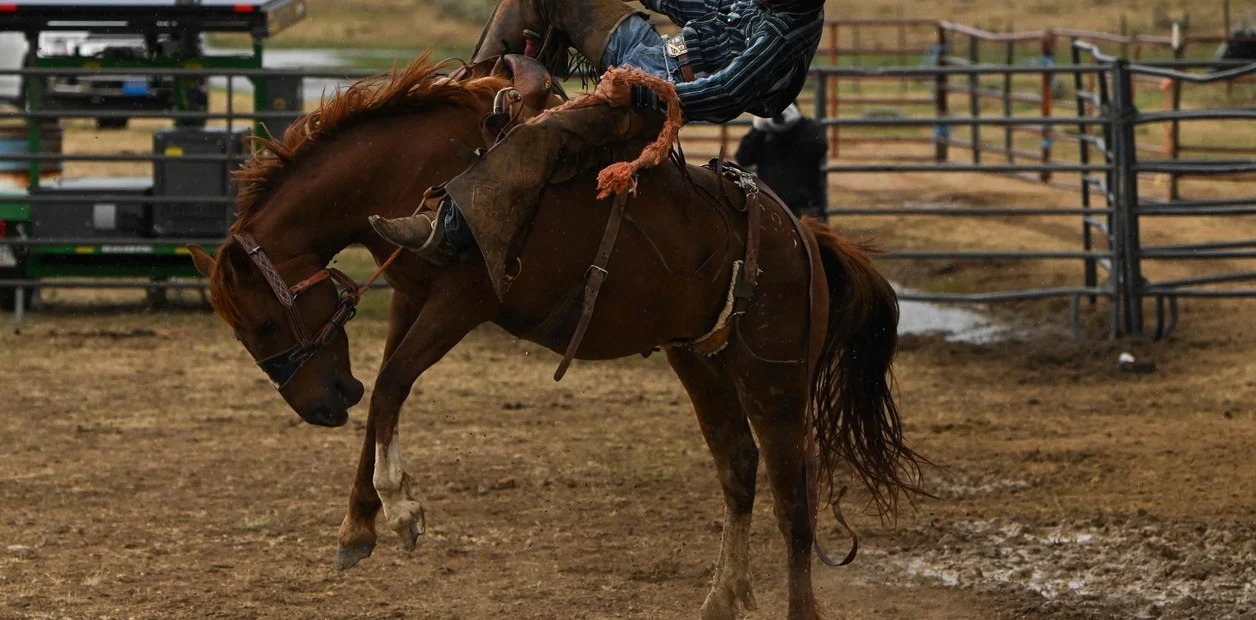 Alcohol, drogas y suicidios: La dura vida de los cowboys en EEUU