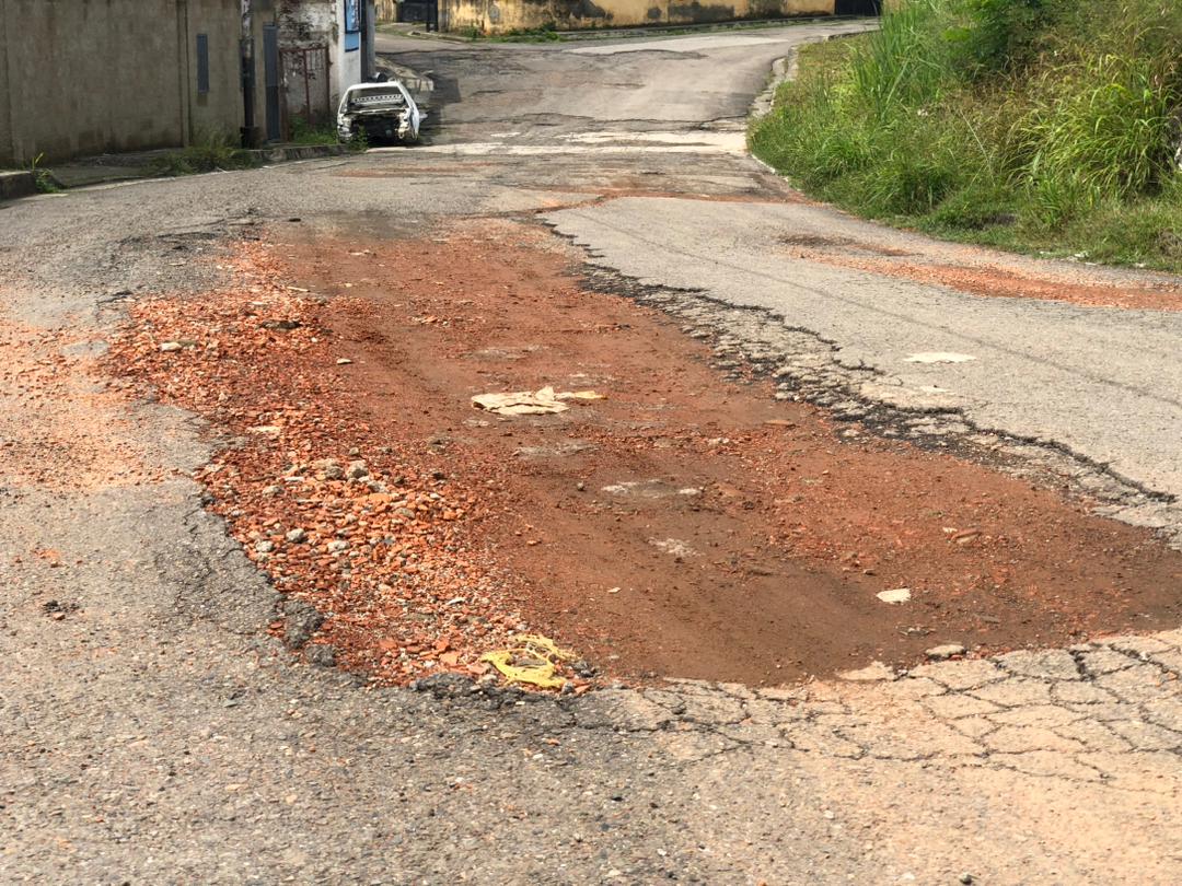 A transportistas de Guárico “les salieron raíces” esperando el asfaltado prometido por el chavismo