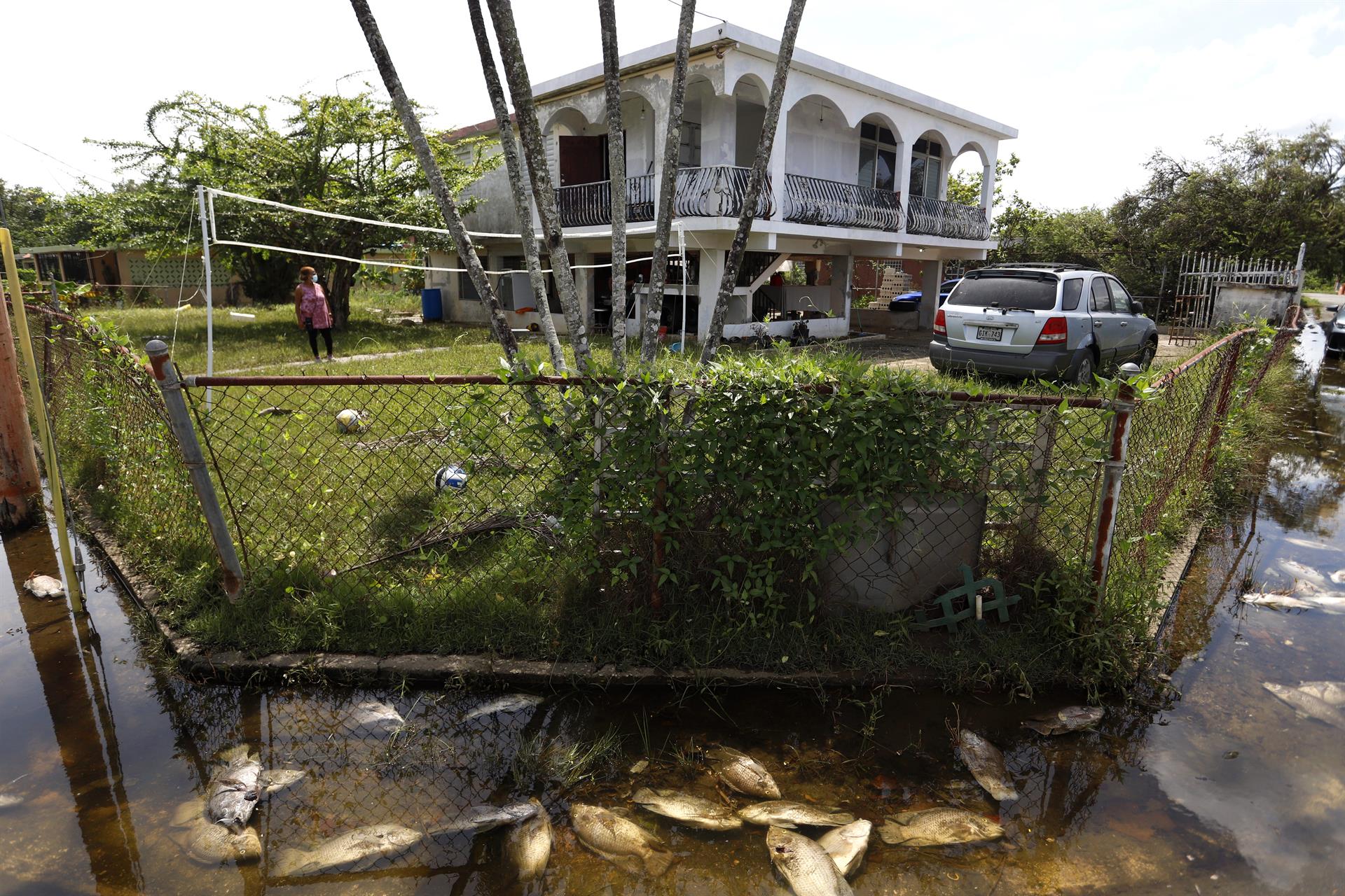 El huracán Fiona deja peces en las calles del pueblo puertorriqueño de Loíza