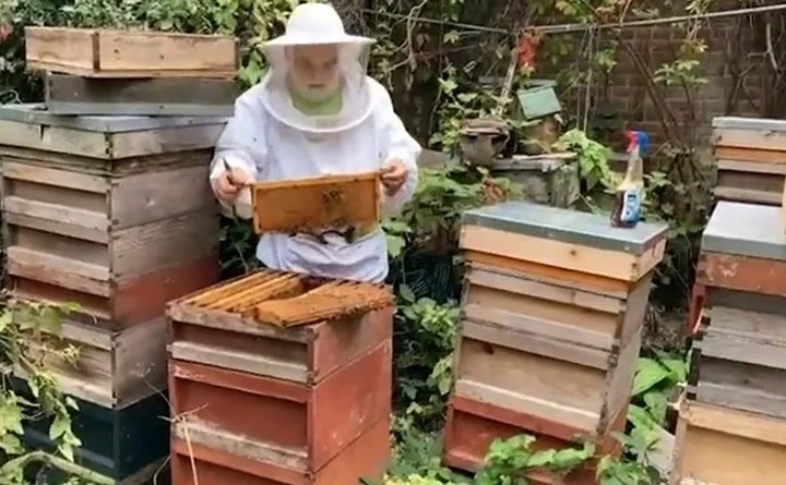 Muerte de la reina Isabel II: el supersticioso y centenario ritual con las abejas del Palacio de Buckingham