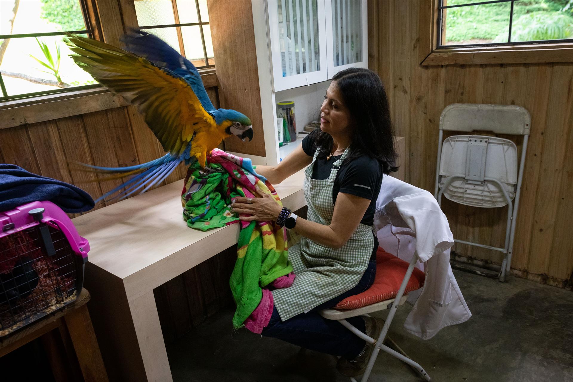 Una pequeña cabaña escondida, refugio de la fauna silvestre venezolana (Fotos)