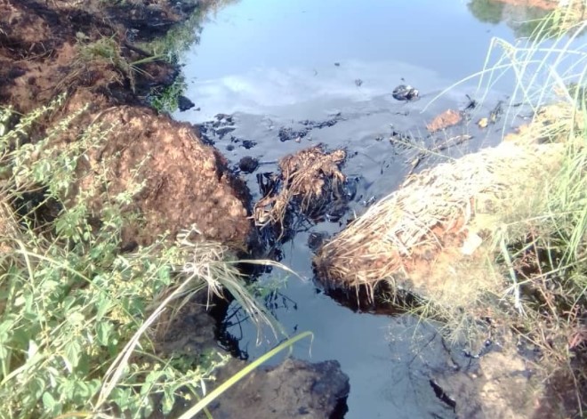 Derrame petrolero acaba con siembras y animales en el municipio Pedro María Freites de Anzoátegui