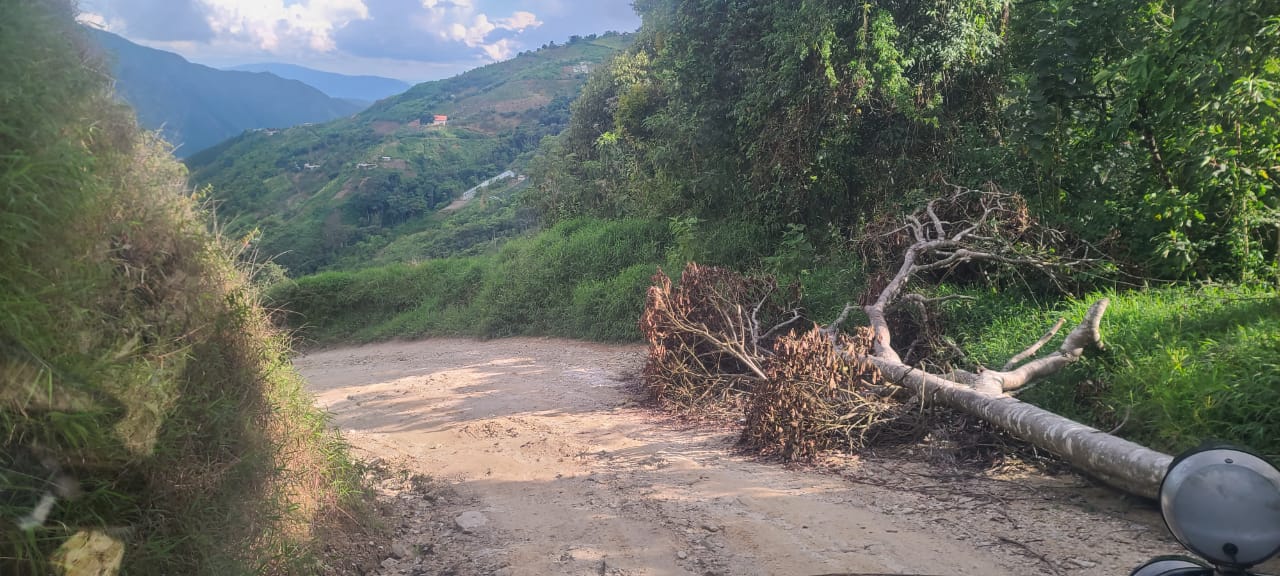 Hampones dejaron obstáculos en la vía durante operativos en la Colonia Tovar (Fotos)