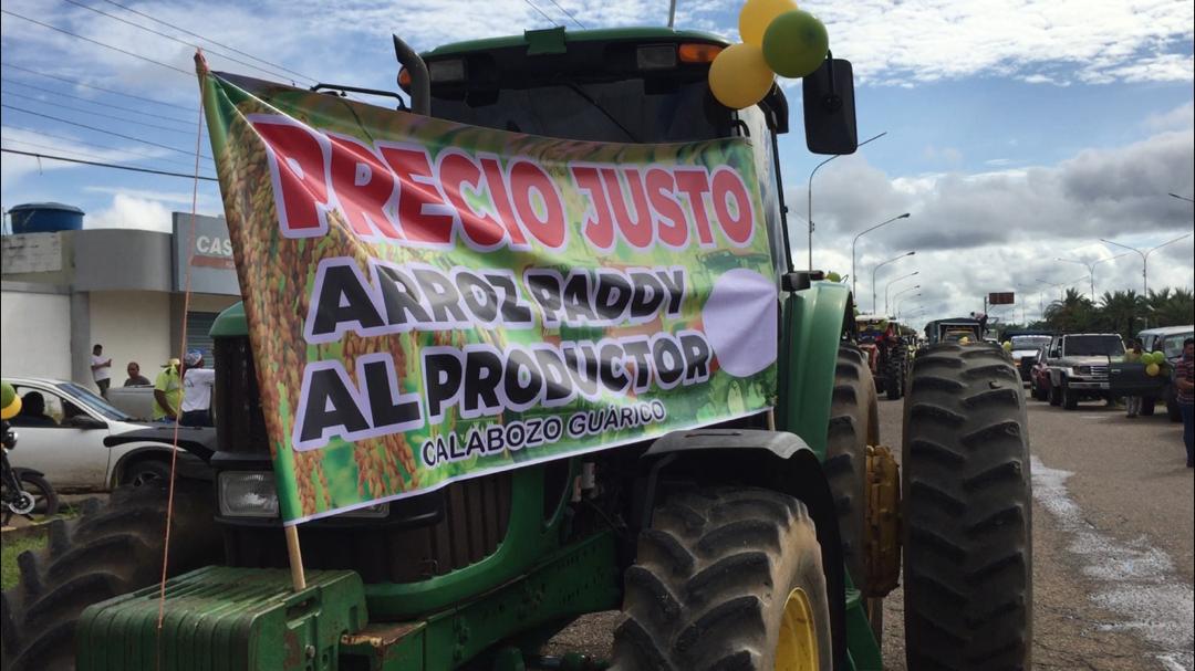 A productores de arroz en Guárico les ha tocado “vender chupetas” por falta de financiamientos