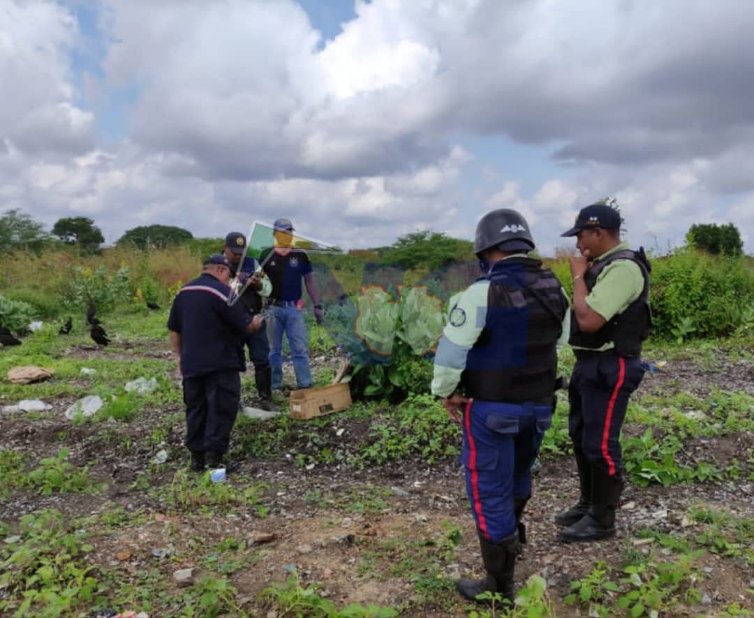 En una caja de cartón encontraron el cadáver de neonato en vertedero de basura en Valle de la Pascua