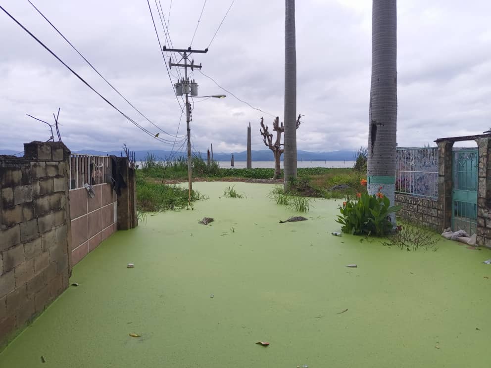 “Con el agua al cuello” están los vecinos de Brisas del Lago en Maracay