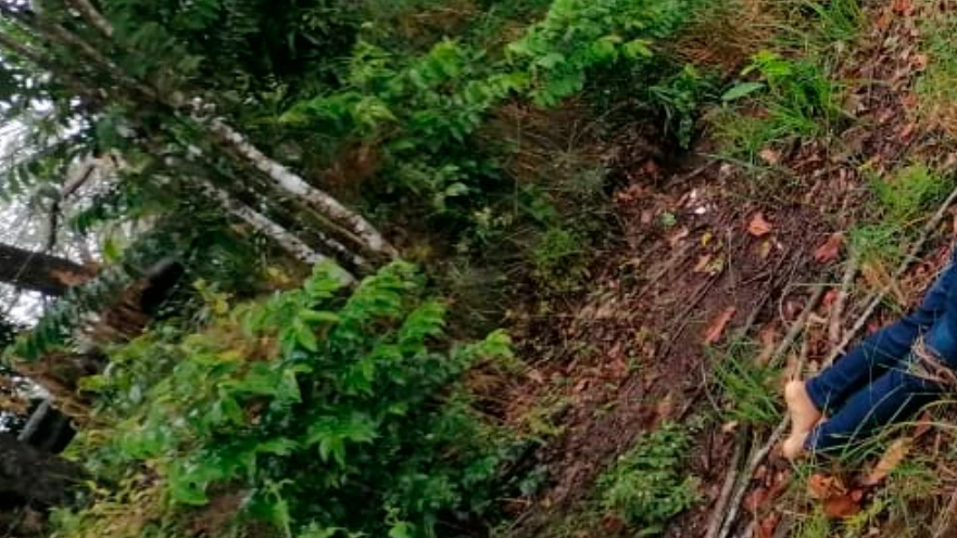 Masacre en Colombia: Asesinaron a cuatro personas en zona rural de Arauca