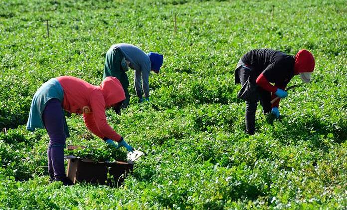 Dos condenados por la muerte de un inmigrante esclavizado en Italia