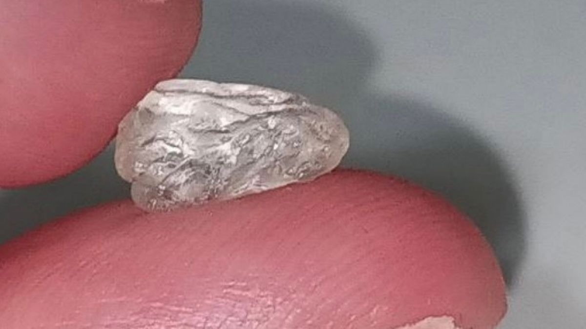 Quedó atónita al descubrir por casualidad un raro diamante en el jardín de su casa en Virginia