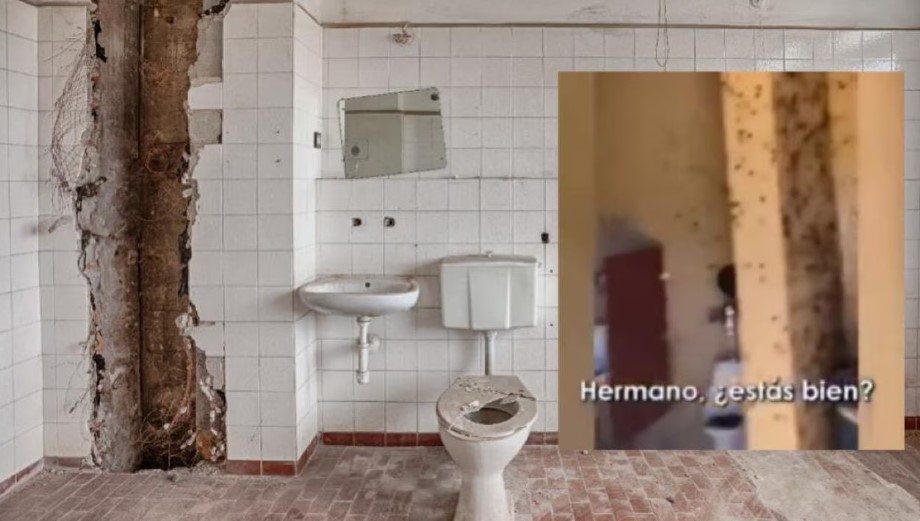 “Hermano, ¿estás bien?”: lo encerraron en un baño repleto de cucarachas y el video se hizo viral