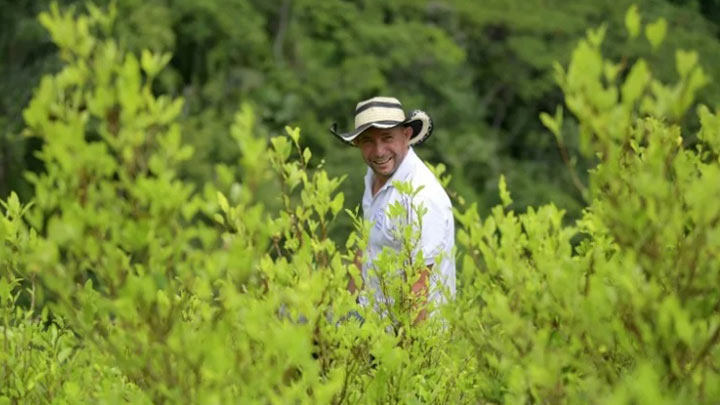 “Carmito”, el rostro de los campesinos cocaleros perseguidos en Colombia