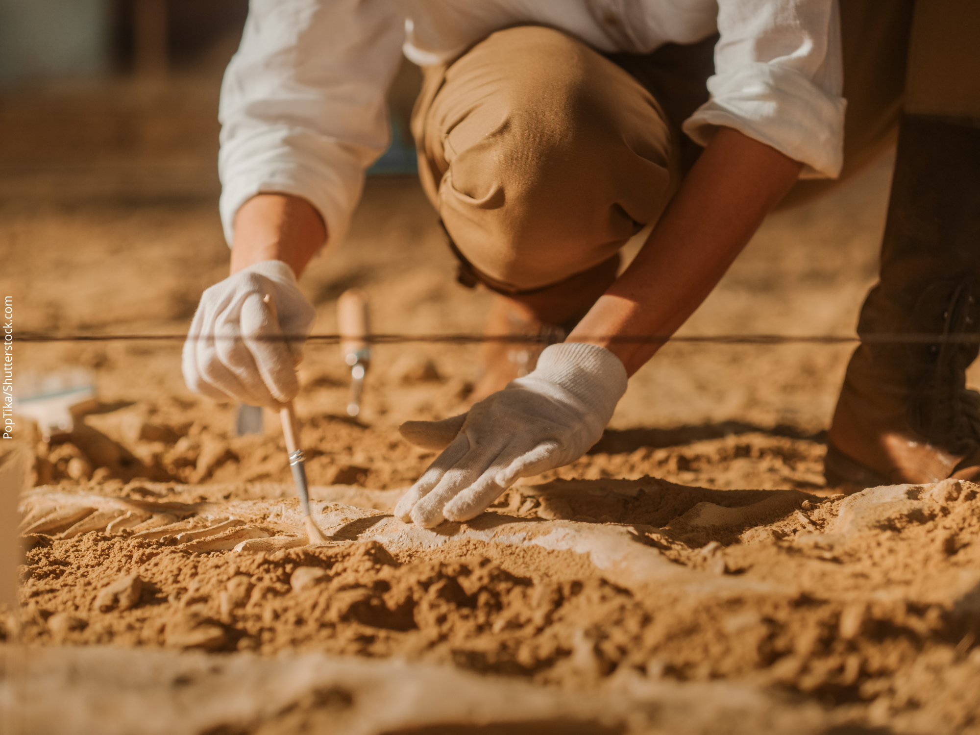 Descubren sistema de regadío en una antigua ciudad china de hace 5.000 años