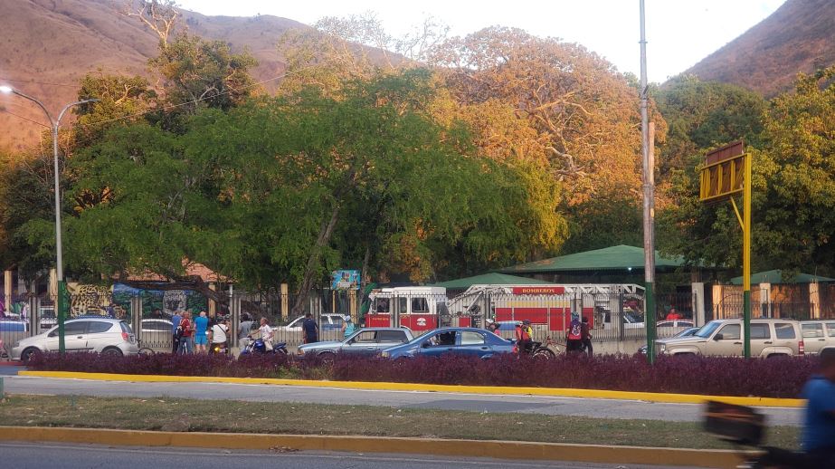 VIDEOS: Caída de un árbol dejó varios heridos en el zoológico de Maracay