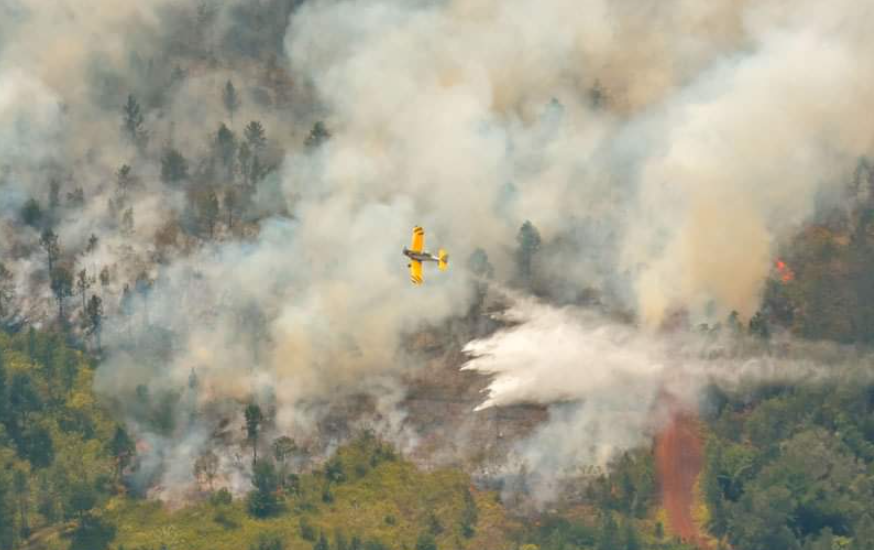 Incendio incontrolable devora unas dos mil hectáreas de bosques en Cuba