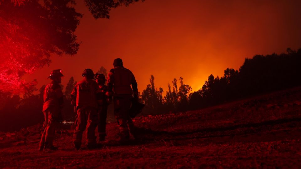 ¡BRAVO! Construyen hospital para ayudar a los animalitos afectados por los incendios en Chile