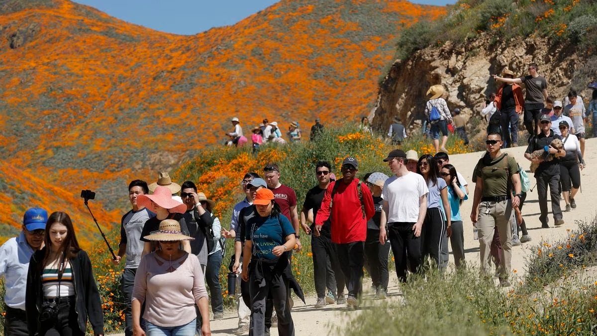 La ciudad en California que le prohibió a los turistas disfrutar de las flores