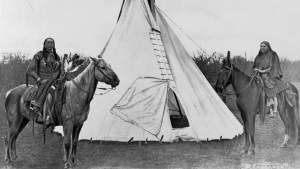 Revelan que los caballos podrían haber “colonizado” Norteamérica antes de la llegada de españoles