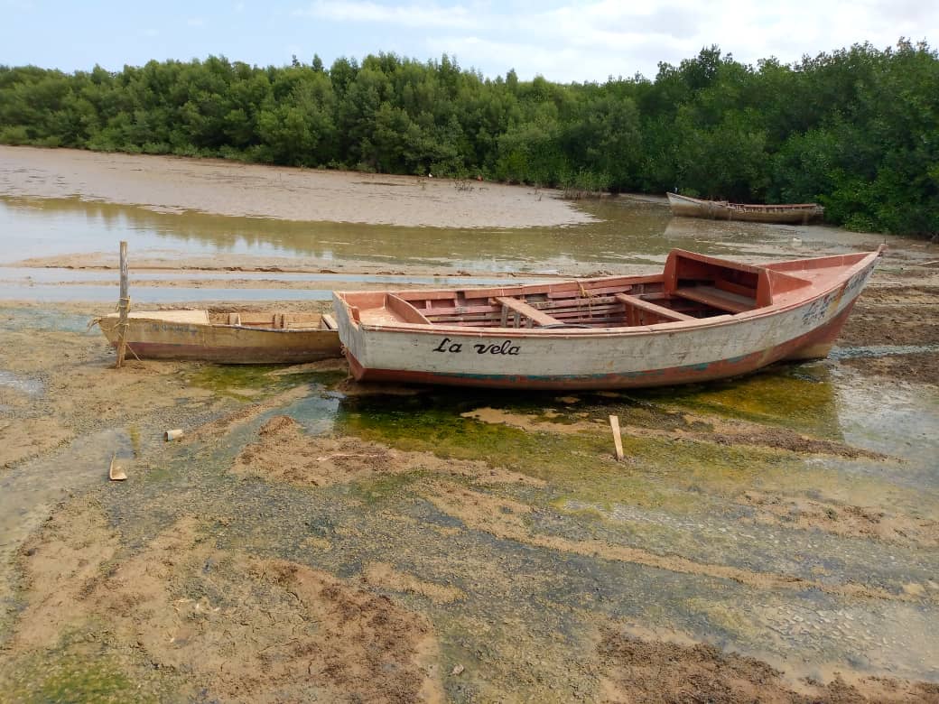 Se paraliza la pesca en el principal puerto de Falcón por sedimentación alrededor de sus muelles