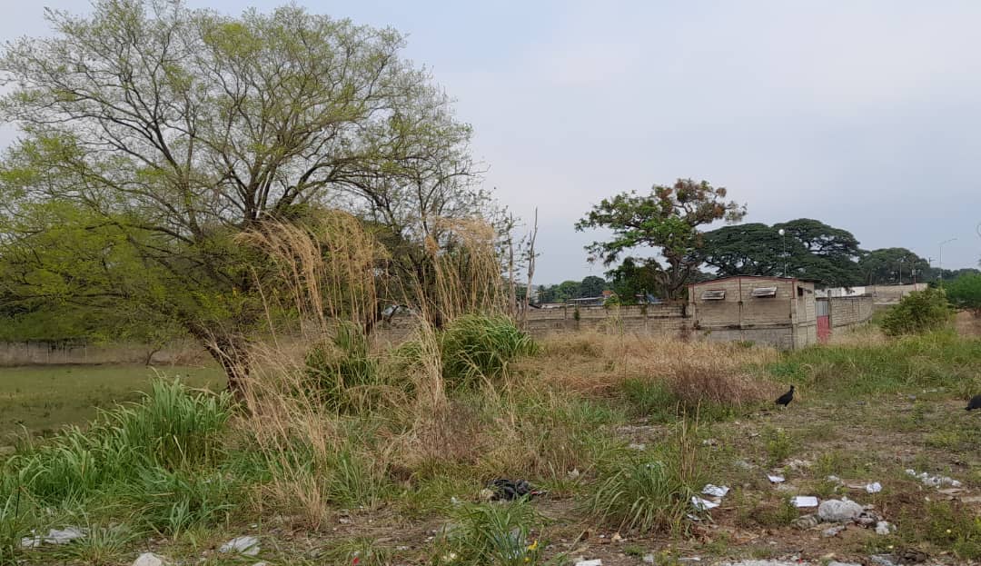 Parque Bolívar Conservacionista, el pulmón ambiental de Barinas invadido por fábricas y negocios