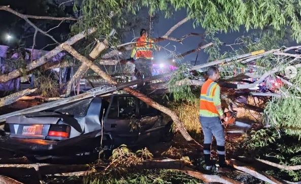 Árbol cayó sobre un vehículo en una estación de servicio y dejó cuatro lesionados en Carabobo