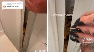 “El olor es repugnante”: el increíble descubrimiento de una joven detrás de una pared en su baño (VIDEO)