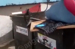 VIDEO: Hallaron un feto dentro de contenedor de basura en Caraballeda