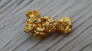 El hallazgo de su vida: Empleaba detector de metales para encontrar “algún tesoro” y halló una pepita de oro gigante