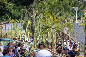 Los Palmeros de Chacao: una tradición que mantiene viva la fe de los caraqueños en Semana Santa (FOTOS)