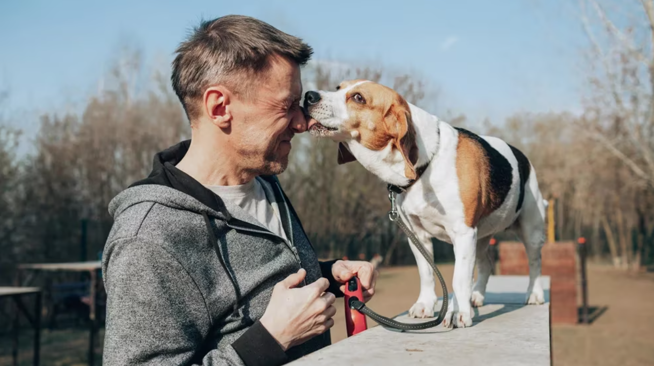 ¿Por qué los perros lamen la cara de las personas?