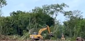 Testigo Directo: Complicidad y controversia en la construcción del Tren Maya en México (Video)