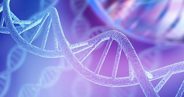 Identifican el gen causante de una enfermedad rara con deformaciones faciales