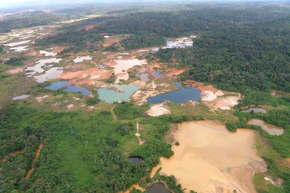 ¿Qué está pasando en el Parque Nacional Yapacana?