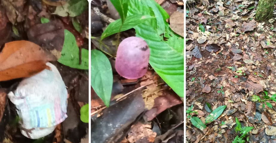 Un pañal, un zapato y la tapa de un tetero: estos son los objetos encontrados de los niños perdidos en Colombia