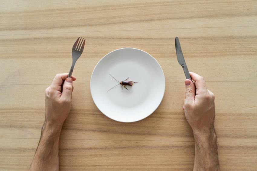 ¡Insólito! Fue a un restaurante, encontró una cucarachas en su platillo y la obligaron a pagar