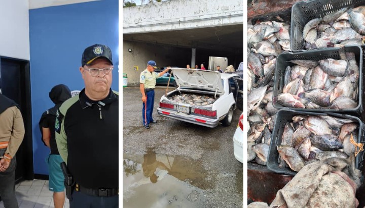 En la maleta de un carro Malibú guardaban pescados podridos que luego vendían en Petare (FOTOS)