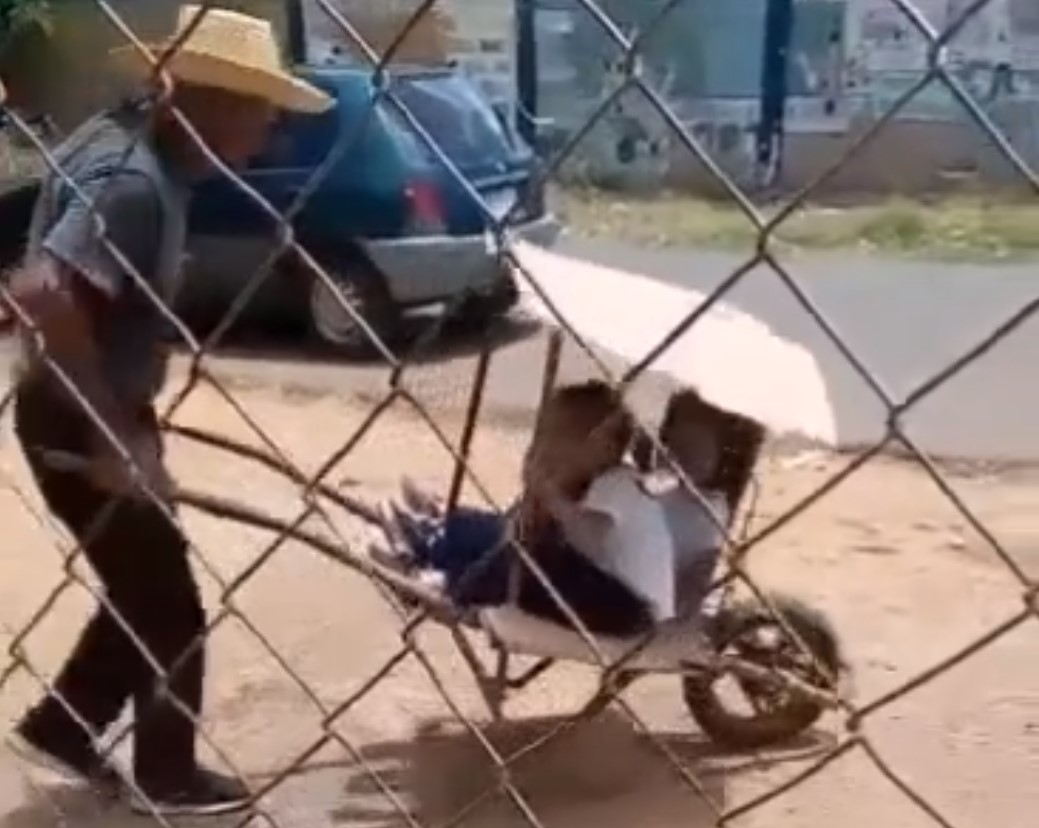 Abuelo construyó su propio transporte escolar para llevar a sus nietos al colegio en Falcón (Video)