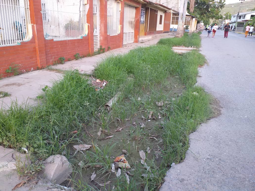 Vecinos de Cantarrana en Cumaná exigen reactivación del sistema de bombeo y mantenimiento del canal de riego