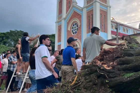 Una anciana murió aplastada por árbol gigante cuando estaba almorzando (IMÁGENES)