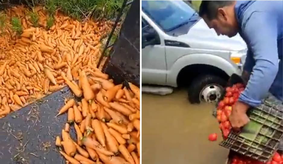 Fegabarinas ante detención de agricultor merideño: No hay un “boicot” de los productores, pero sí una falla de combustible