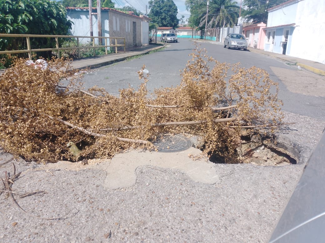 El chavismo se hace “el Willy” ante los cráteres que afean las calles de Maturín