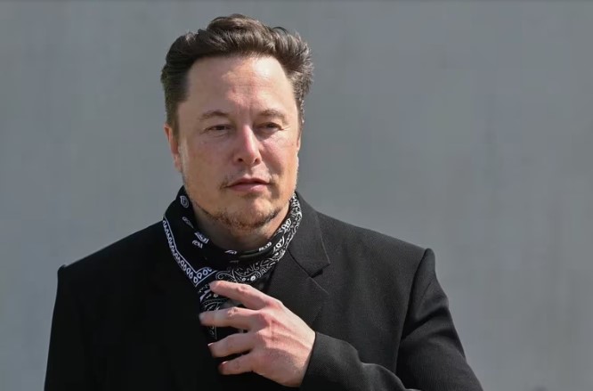 Elon Musk cree que está lesionado y podría postergar la pelea pactada contra Mark Zuckerberg