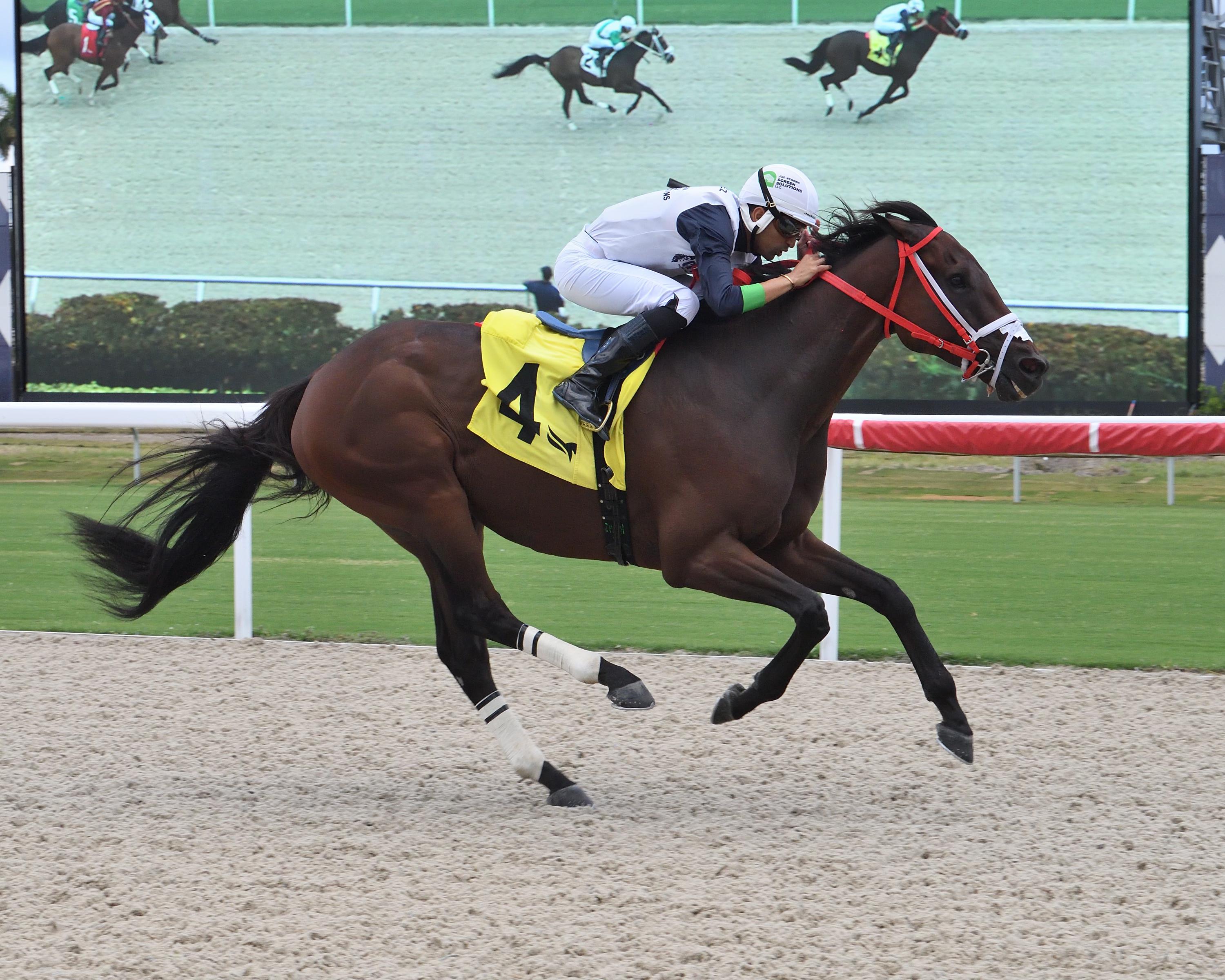 Gulfstream Park Racing en Florida: Entrenador venezolano Reynaldo Yánez ganó dos de tres carreras de caballos